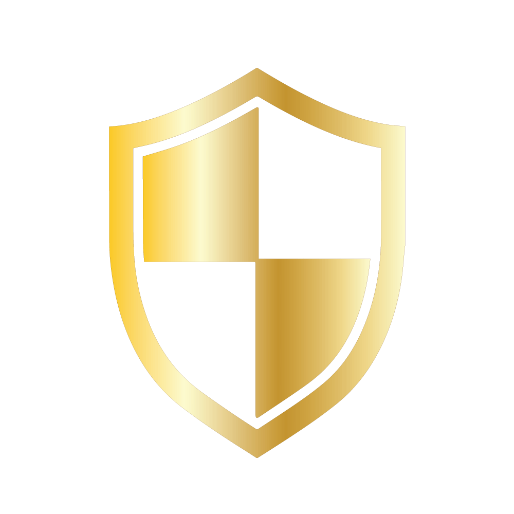 Vehicle control and protection icon